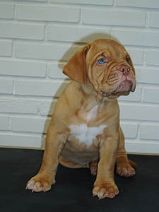 Zelma 6 weeks